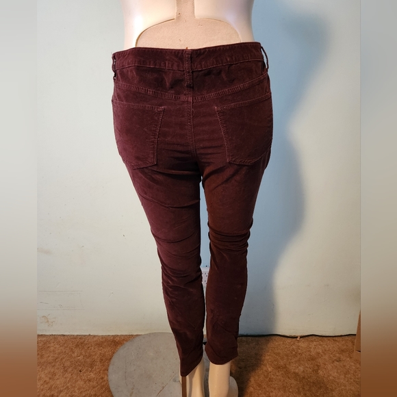 Brushed velvet style pants - Picture 3 of 5